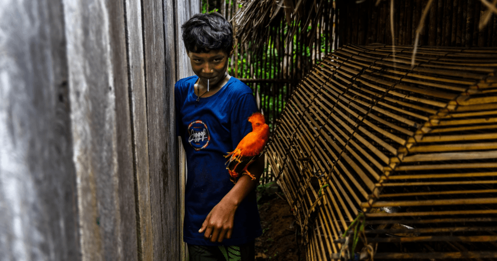 Eleven-year-old Ismael holds a Guianan Cock-of-the rock in the village of Nazaré